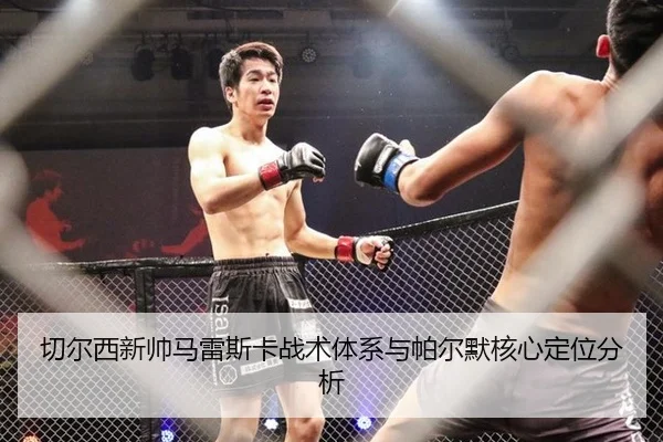 切尔西新帅马雷斯卡战术体系与帕尔默核心定位分析